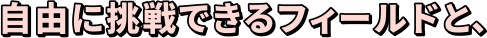 自由に挑戦できるフィールドと、
